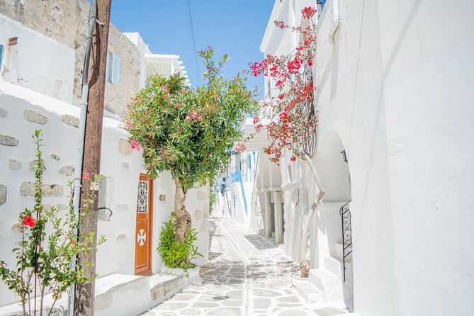 Private tour: Paros & Antiparos highlights 8 hours - Key Points
