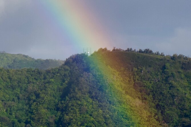 Private Tour-Pearl Harbor with Arizona Memorial + Scenic Lookouts - Visiting Diamond Head and the Amelia Earhart Marker