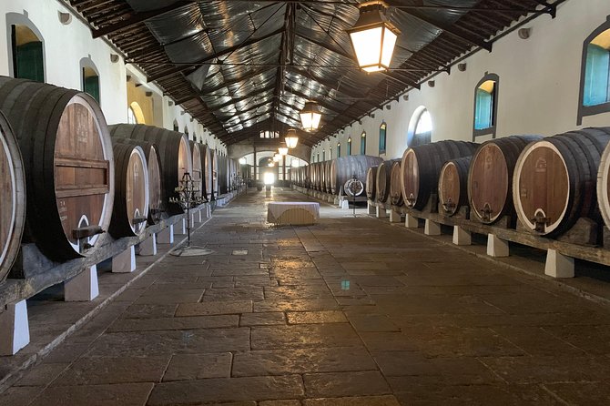 Private Tour, Pena Palace,Sintra,Cascais and Full Day Wine Tasting - Comfortable Transportation with Modern Amenities