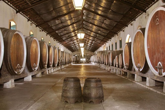 Private Tour, Pena Palace,Sintra,Cascais and Full Day Wine Tasting - What Sets This Tour Apart from Others