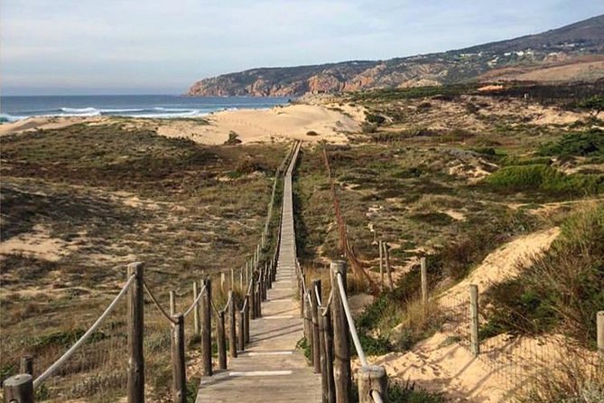 Private Tour, Pena Palace,Sintra,Cascais and Full Day Wine Tasting - Final Thoughts on the Private Sintra, Cascais, and Wine Tasting Tour