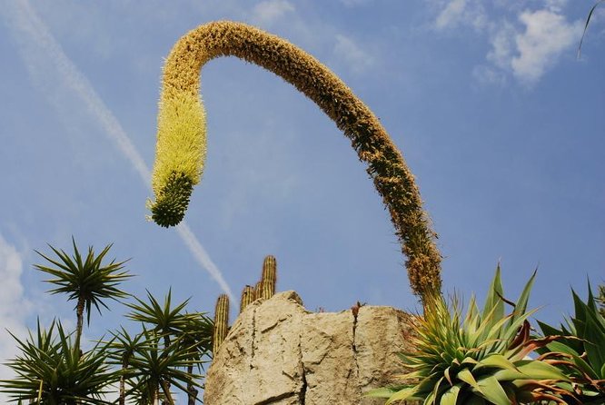 Private Tour: Personal Travel Photographer Tour in Monaco - Explore Monaco with a Personal Travel Photographer and Local Guide