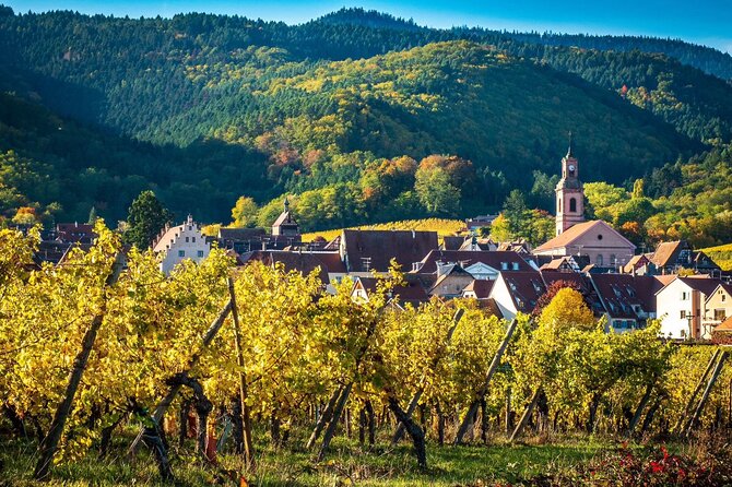 Private Tour: Picturesque Alsatian Villages & Wine Tasting with a local expert - Afternoon Wine Tasting at Dopff Au Moulin Estate