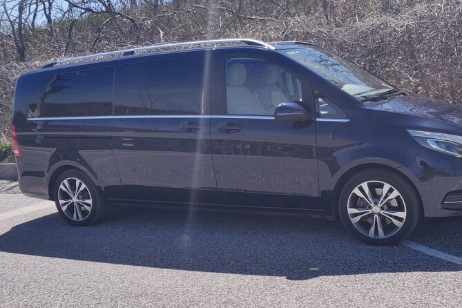 Private Tour Pompeii and Herculaneum - Limitations and Considerations