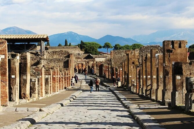 Private Tour Pompeii and Sorrento from Naples - The Flexibility and Pacing of the Tour