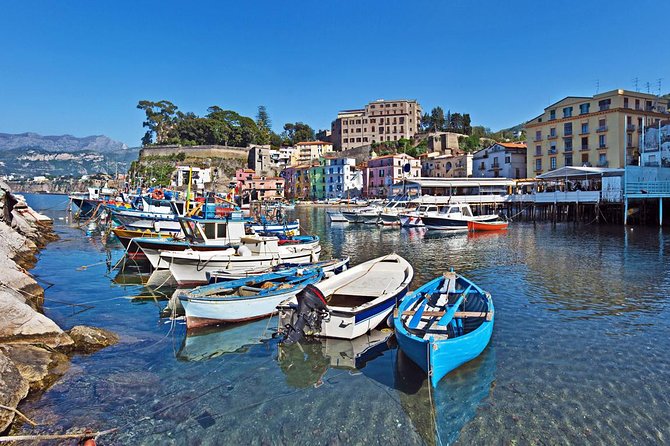 Private Tour: Pompeii and Sorrento from Rome - Comfortable, Private Transport in Style