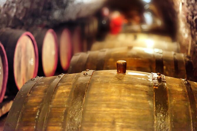 Private Tour Pompeii and Winery - The Scenic Drive to Mount Vesuvius and Vinyard Walk