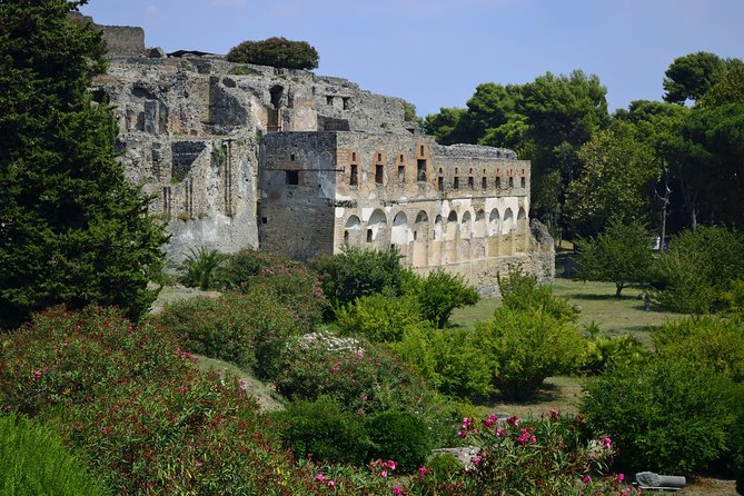 Private Tour: Pompeii Half-Day Trip from Naples - The Flexibility of the Transport-Only Option