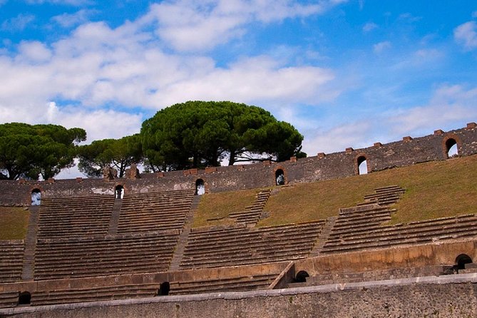 Private Tour: Pompeii Ruins from Rome in a Day - Key Points
