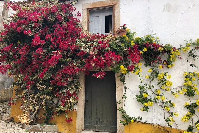 Private Tour: Porto to Lisbon: visit Aveiro,Coimbra,Fatima,Obidos - An Intimate Journey Through Portugal’s Cultural Highlights