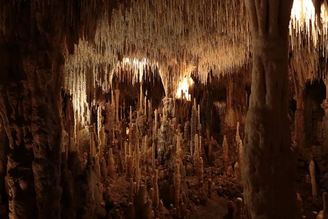 Private Tour : Prehistoric Cave and Castle by EXPLOREO SARLAT - What Sets This Tour Apart: Personal Attention and Expert Guidance