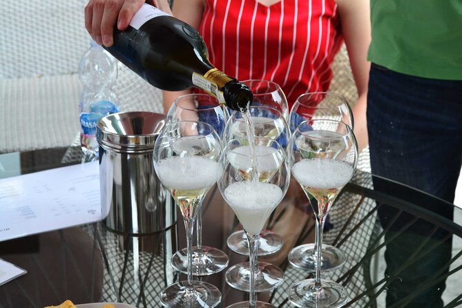 Private Tour: Prosecco Wine Tasting Day Trip with Lunch from Venice - A Complete Dive into Veneto’s Prosecco World for $464.43