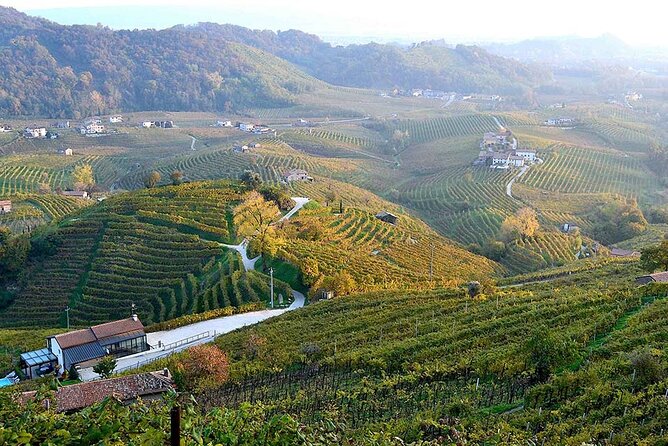 Private Tour: Prosecco Wine Tasting Day Trip with Lunch from Venice - Comfortable Return to Venice in the Afternoon