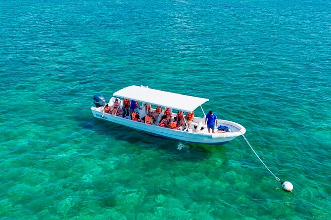 Private Tour Reefs and Corals Puerto Morelos Snorkel Lunch - Explore the Vibrant Reefs and Marine Life of Puerto Morelos