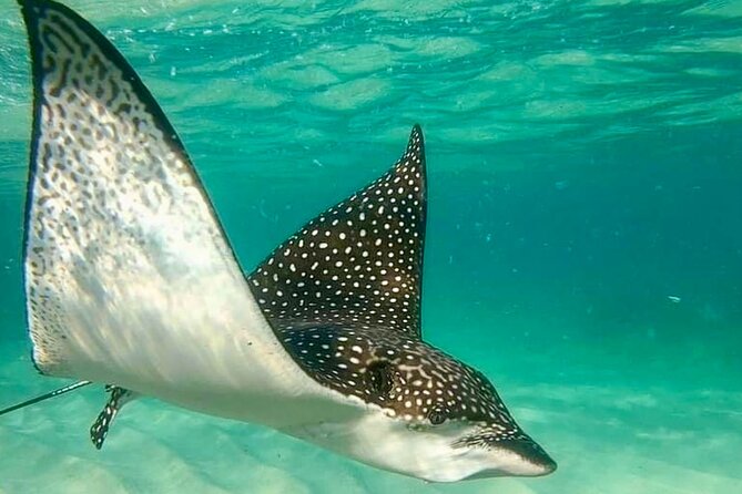 Private Tour Reefs and Corals Puerto Morelos Snorkel Lunch - Weather and Cancellation Policies