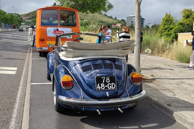 Private Tour: Regional Road Drive with Stunning Views and Poncha Drink Tasting - Flexibility and Booking Details