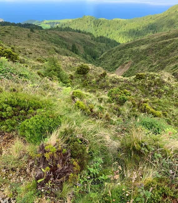 Private Tour Ribeira Grande: Salto do Cabrito Hike - Discover the Natural Charm of São Miguel on a Private 8-Hour Tour