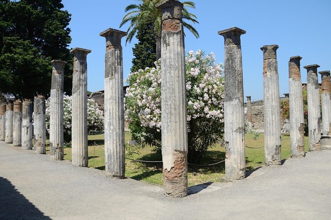 Private Tour Rome to Pompeii in private vehicle or fast train - Dining Recommendations in Modern Pompeii