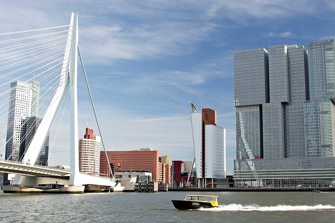 Private Tour Rotterdam: Highlights, Water Taxi and Rooftop view - Key Points