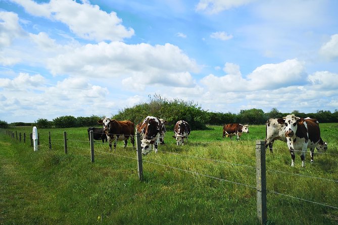 Private Tour: Rouen and Giverny Day Trip from Bayeux - Accessibility and Suitability