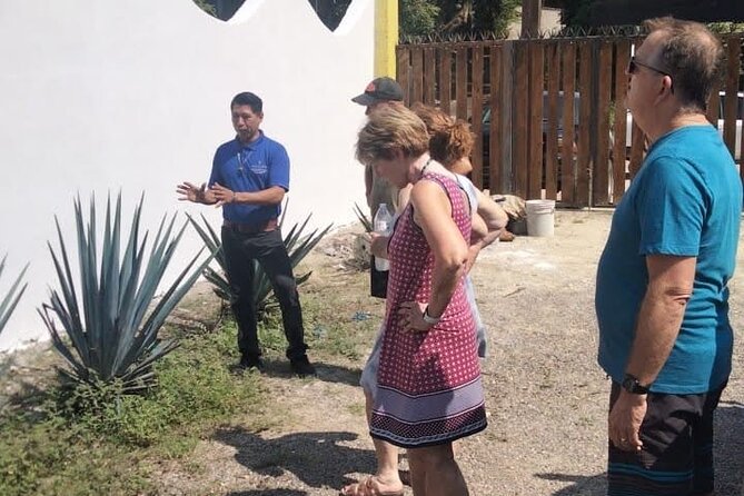 Private Tour, Sayulita & San Pancho - Highlights for Art, Culture, and Indigenous Connection