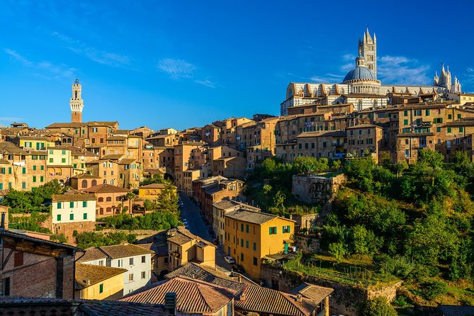 Private Tour: Secret Siena Walking Tour - Logistics and Meeting Arrangements