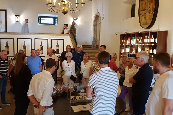 Private Tour Sesimbra Blue Coast - Taking in Nature at Arrábida Natural Park