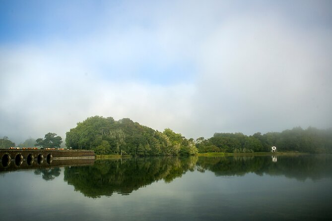 Private Tour: Sete Cidades, Lagoa do Fogo, Pineapple Plantation - Tropical Sweetness at Arruda Pineapple Plantation
