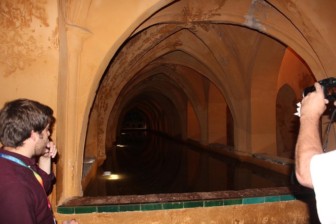 Private Tour: Seville Day Trip from Granada - Discover the Art at the Seville Fine Arts Museum