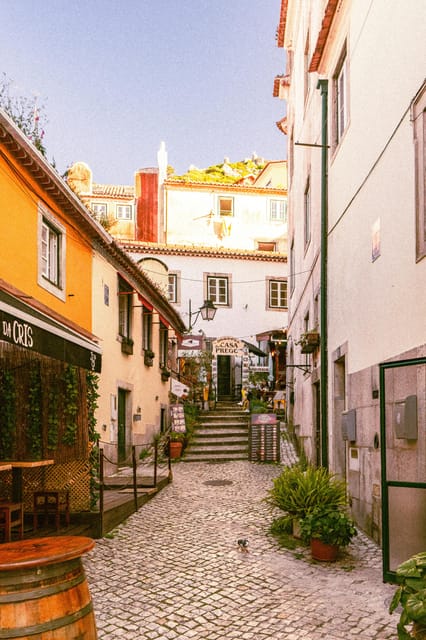Private Tour: Sintra, Cabo da Roca and Cascais - Explore Portugal’s Coastal and Royal Highlights on a Private 8-Hour Tour
