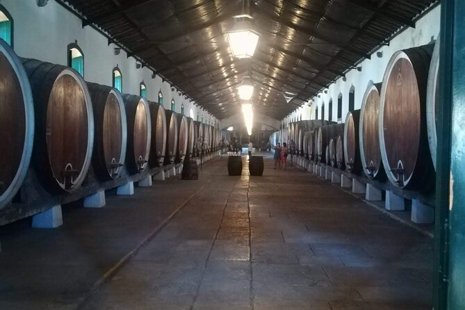 Private Tour Sintra With Wine Tastings - Monserrate Palace and Romantic Park