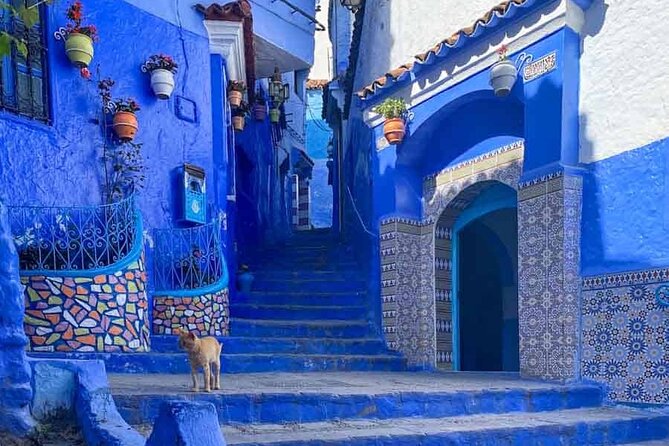 Private Tour: Tangier From Malaga. Breakfast and Lunch Included - Explore Tangier in Comfort and Style for $459.94 Per Person