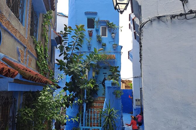 Private Tour: Tangier From Malaga. Breakfast and Lunch Included - Authentic Exploration of Tangiers Kasbah and Medina