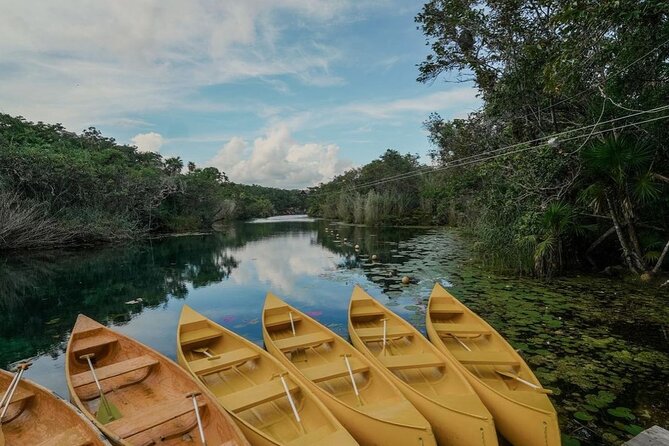 Private Tour Tankah 3 Zip Lines 3 Cenotes Canoe Snorkel Community - Key Points