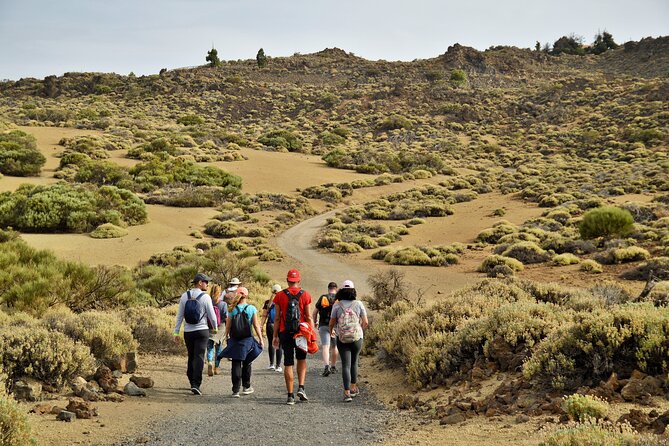 PRIVATE TOUR Teide National Park: Hiking and Stargazing - Exploring the Pine Forests and Scenic Stops on the Ascent