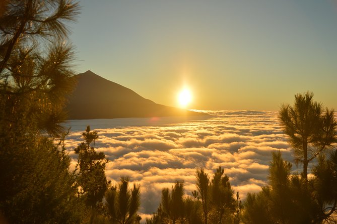 PRIVATE TOUR Teide National Park: Hiking and Stargazing - Expert Guide and Local Knowledge