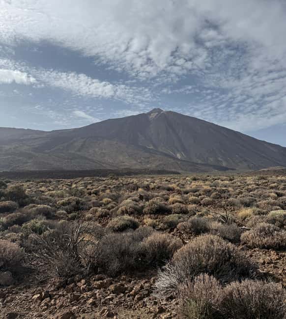 Private tour Tenerife: Teide National Park + Restaurant - Private Tour of Teide National Park Ensures Personal Attention and Flexibility