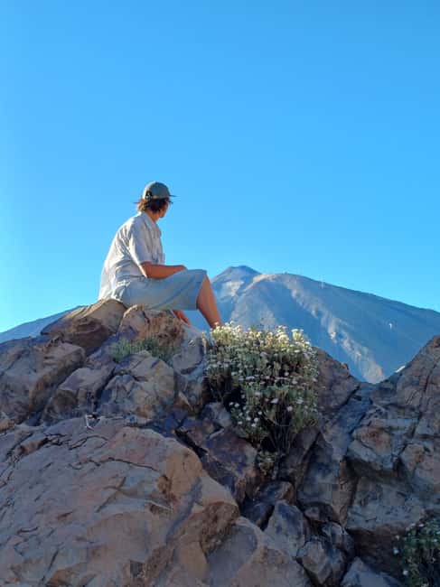 Private tour Tenerife: Teide National Park + Restaurant - Knowledgeable Guides Make the Experience Memorable