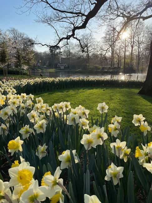 Private Tour, Tesla from Amsterdam: Keukenhof & Tulip Fields - The Return Journey: Comfort and Ease in a Tesla