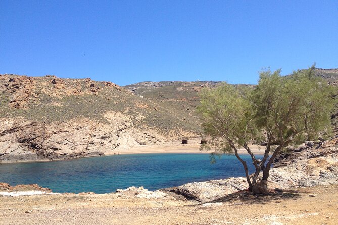 Private Tour: The Best of Mykonos (no walking) - Relaxing at Mykonos Elia Beach