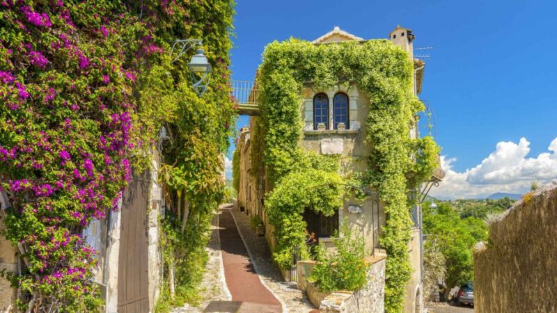 Private tour: the most beautiful medieval villages, full day - The Tour Highlights: A Complete Overview of the South of France’s Medieval Gems