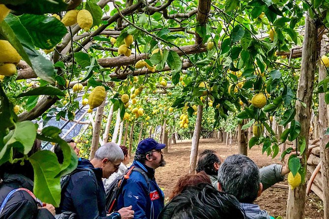 Private Tour: The Path of the Lemons - Explore the Amalfi Coast on a Private Guided Walk