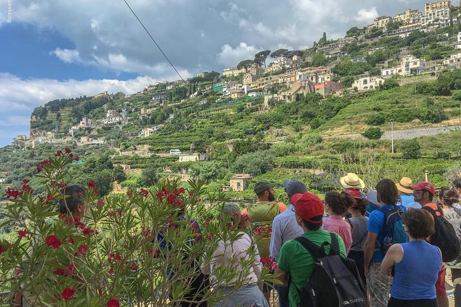 Private Tour: The Path of the Lemons - Panoramic Views of the Mediterranean Coast
