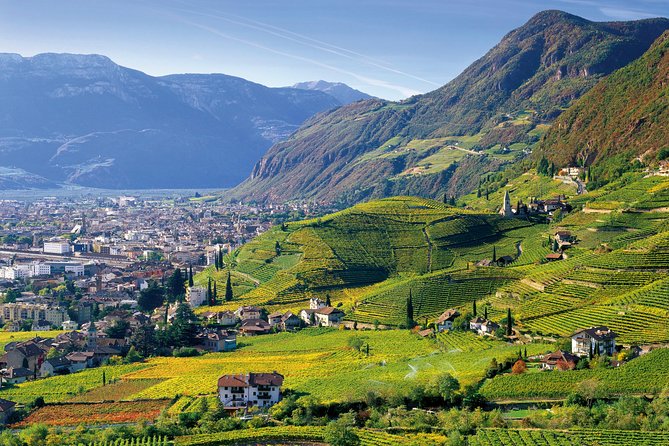 Private Tour The ultimate South Tyrol wine & food experience - Discover the Best of South Tyrol on a Private Wine & Food Tour