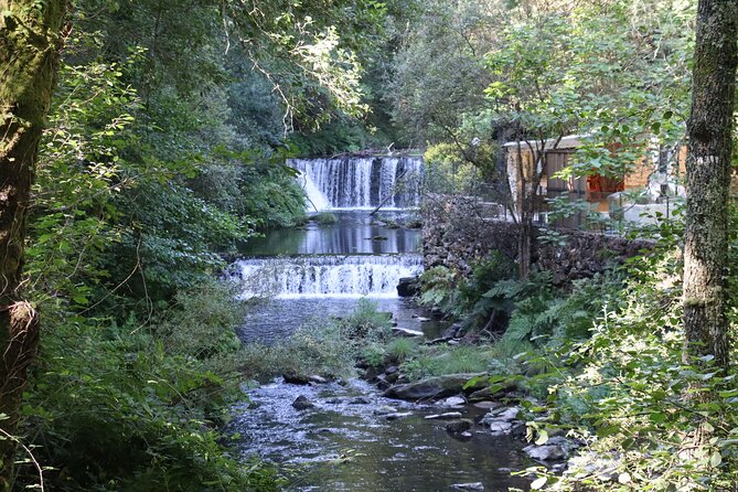 Private Tour to Arouca 516 Bridge and Passadiços do Paiva - Key Points