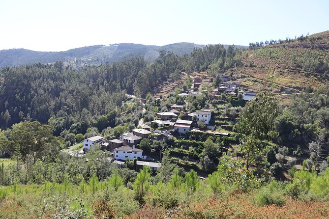 Private Tour to Arouca 516 Bridge and Passadiços do Paiva - Walking Along Passadiços do Paiva
