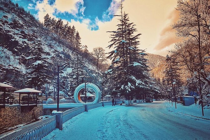 Private Tour to Bakuriani Ski Resort and the Legendary Borjomi - Practical Details and Booking Information