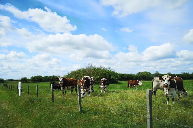 Private Tour to Bayeux, Honfleur and Pays d' Auge from Caen - Logistics: Pickup, Transport, and Group Size