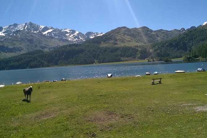 Private tour to Bernina train & Lake Como. Hotel pick-up - Ending the Day in Tirano and Return to Milan