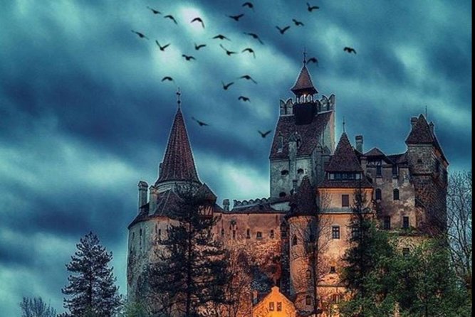 Private tour to Bran Dracula's Castle and Pele Royal Castle - Considerations: Costs and Schedule